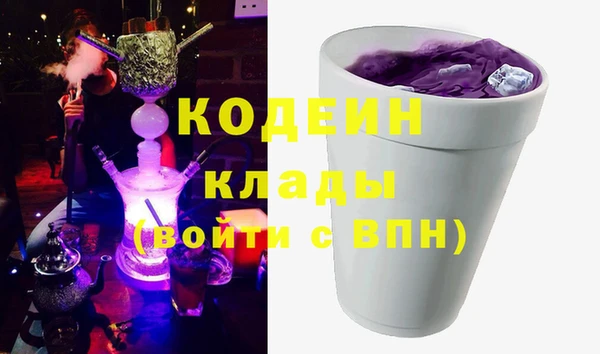 ГАЛЛЮЦИНОГЕННЫЕ ГРИБЫ Богданович