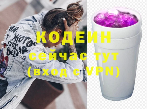 ГАЛЛЮЦИНОГЕННЫЕ ГРИБЫ Богданович
