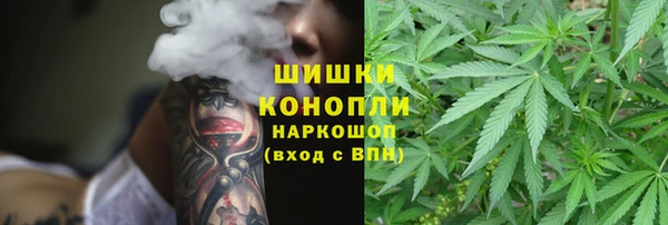 ГАЛЛЮЦИНОГЕННЫЕ ГРИБЫ Богданович