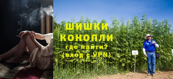 ГАЛЛЮЦИНОГЕННЫЕ ГРИБЫ Богданович