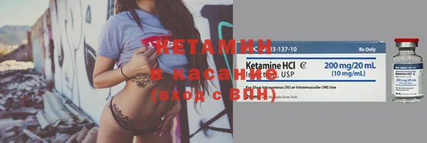 ГАЛЛЮЦИНОГЕННЫЕ ГРИБЫ Богданович