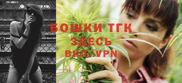 ГАЛЛЮЦИНОГЕННЫЕ ГРИБЫ Богданович