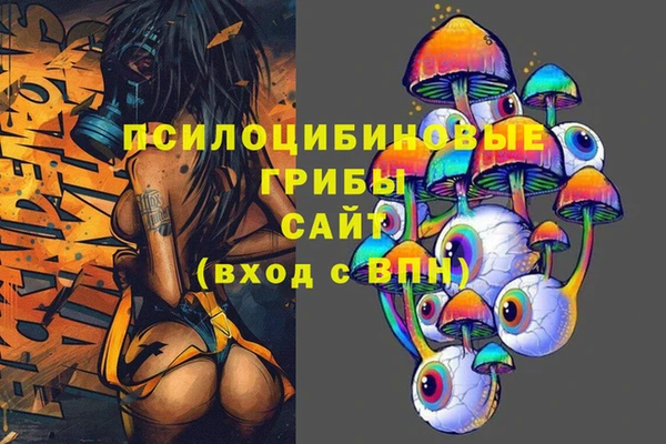 ГАЛЛЮЦИНОГЕННЫЕ ГРИБЫ Богданович