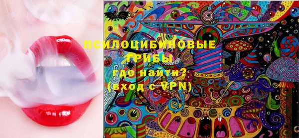 ГАЛЛЮЦИНОГЕННЫЕ ГРИБЫ Богданович