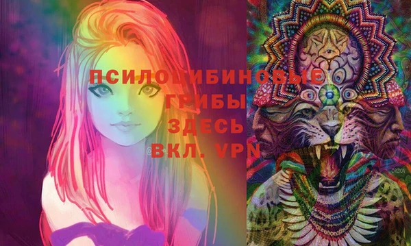 прущий лед Богородицк