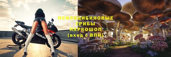 ГАЛЛЮЦИНОГЕННЫЕ ГРИБЫ Богданович