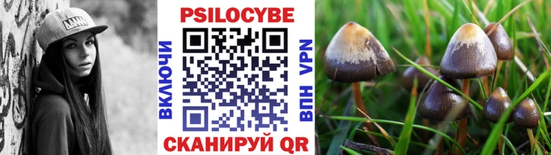 купить наркотики цена Полтавская Псилоцибиновые грибы Cubensis