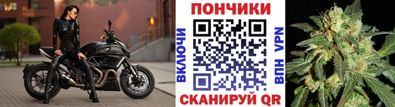 Канабис сатива Полтавская